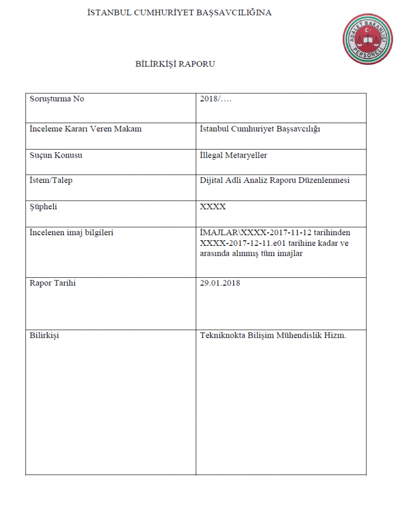 Expert Witness Report Example