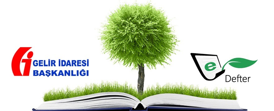 E-Ledger Deletion Report - Status Determination Report Service - TeknikNokta