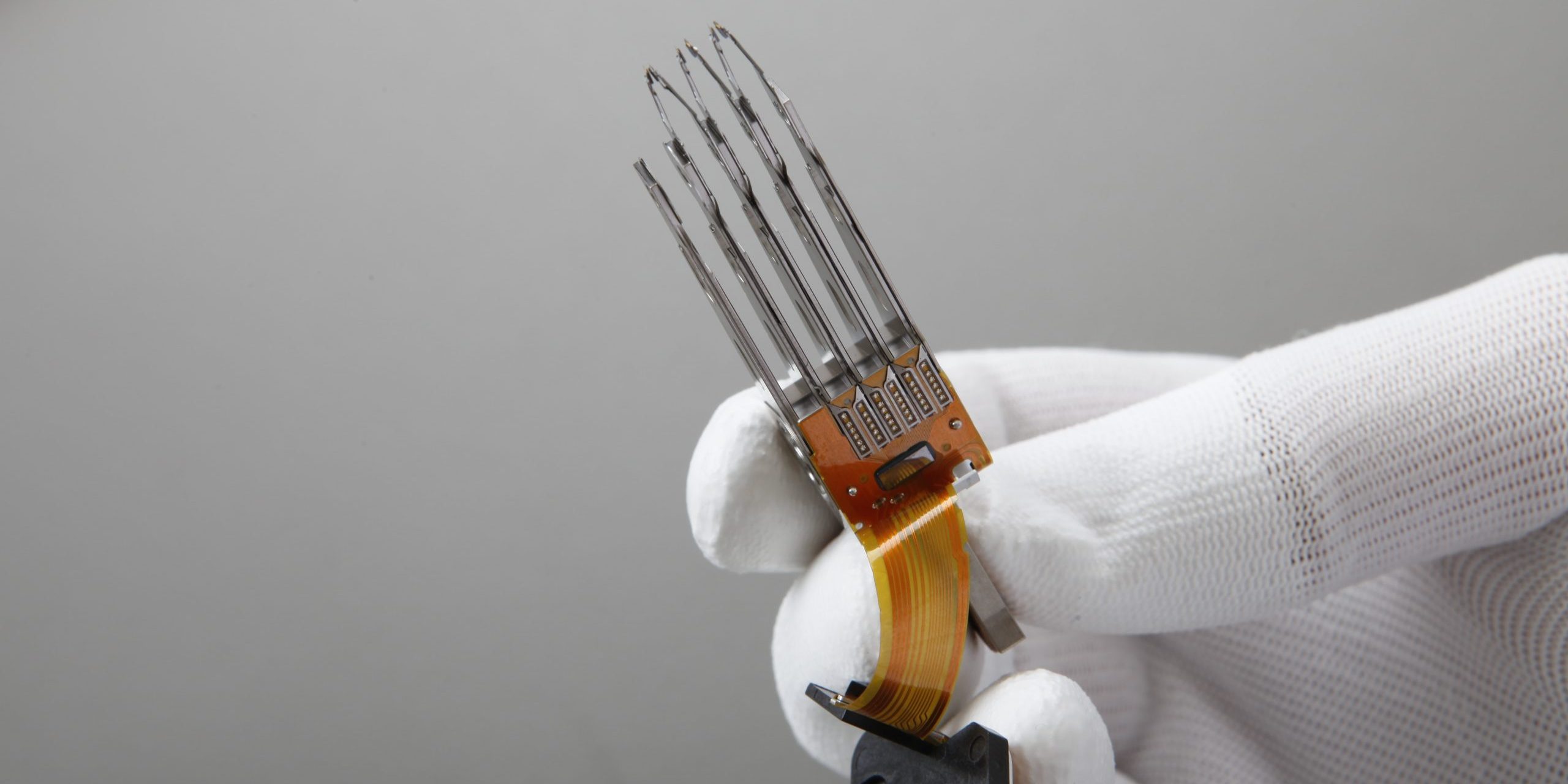 MG 4899 scaled MG 4899 scaled